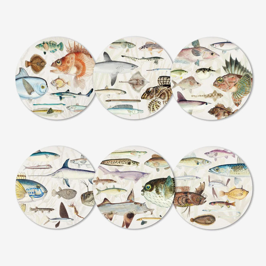Set of six round coasters with fish illustrations on a white background