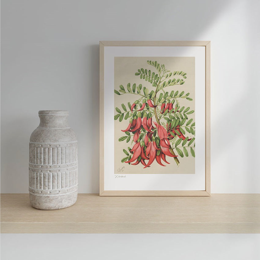 The 100 Percent NZ Botanical Illustration Kakabeak Print framed on a shelf with a vase