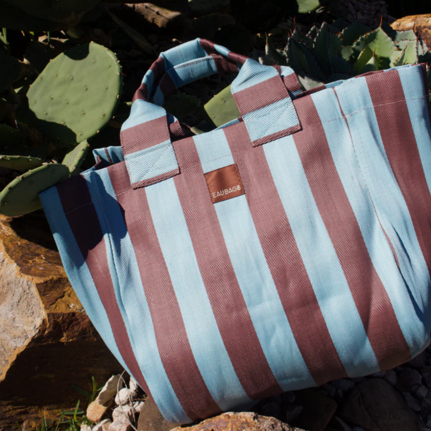 The EAU Grand Bag in Iced Chocolate on rocks and in front of cactuses
