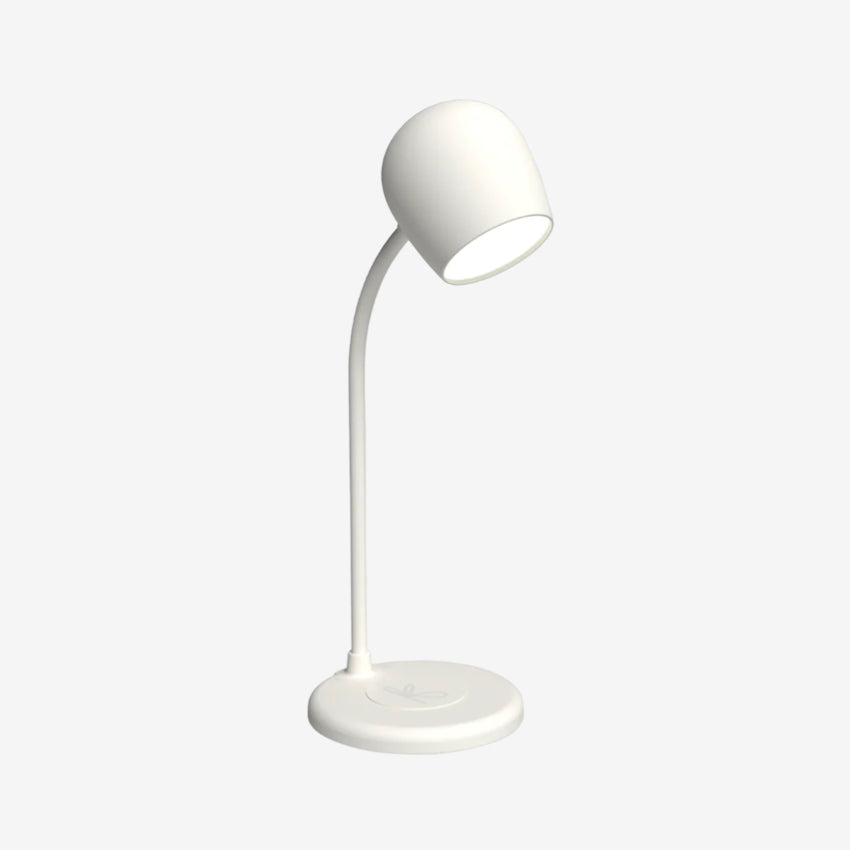Ellie Lamp & Speaker