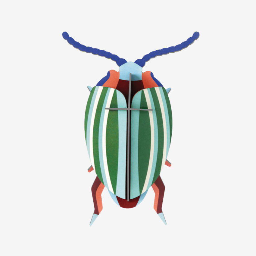 Wall Art Beetles | B7