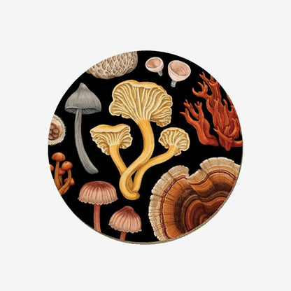 Coaster | NZ Fungi