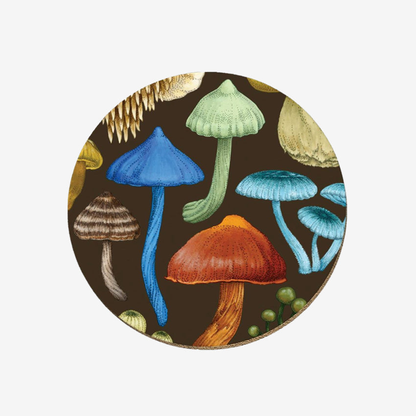 Coaster | NZ Fungi