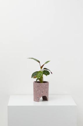 Archie Planter | Small