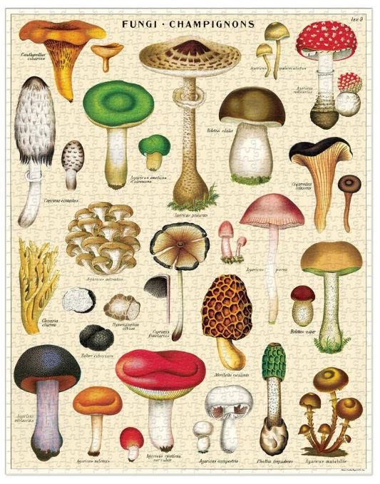 Vintage Puzzle | Mushrooms