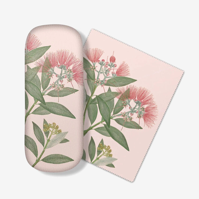 Glasses Case