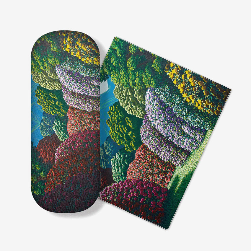 Glasses Case