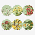 Set of 6 NZ Native Botanical patterned placemats 