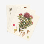The 100 Percent Botanicals Swedish Dishcloth pack of 3