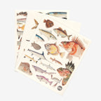 The 100 Percent NZ Fish of NZ Swedish Dishcloth pack of 3