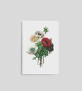 Notebook | Anemone