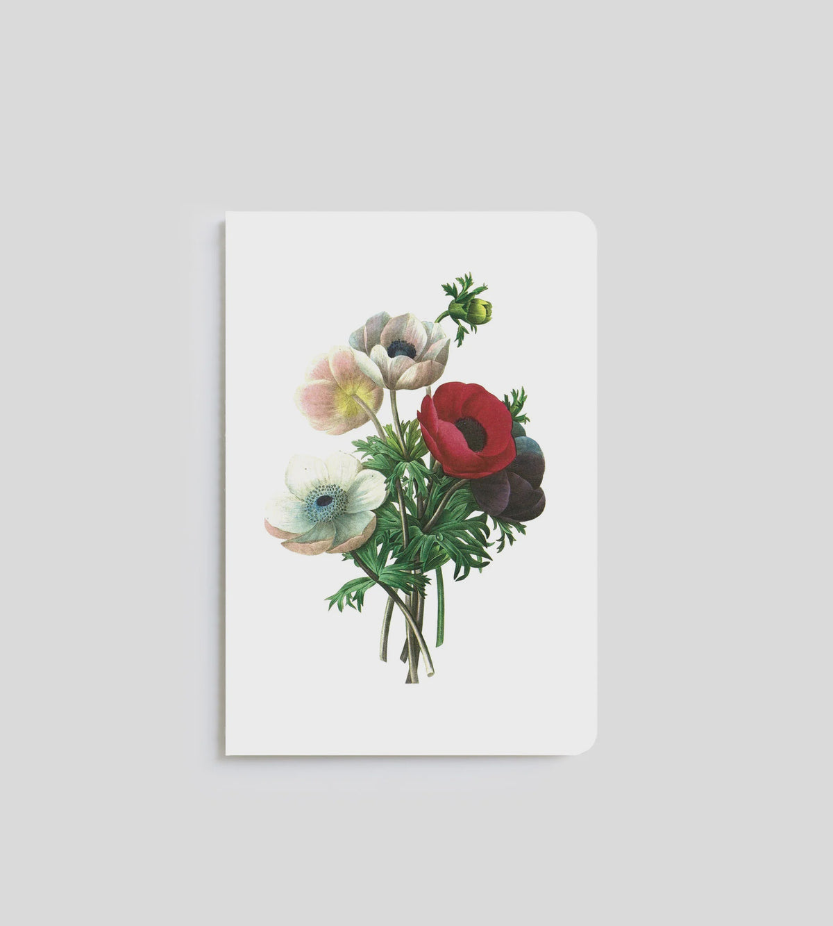 Notebook | Anemone
