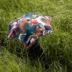 Metro Umbrella | LTD EDT Flox 2026