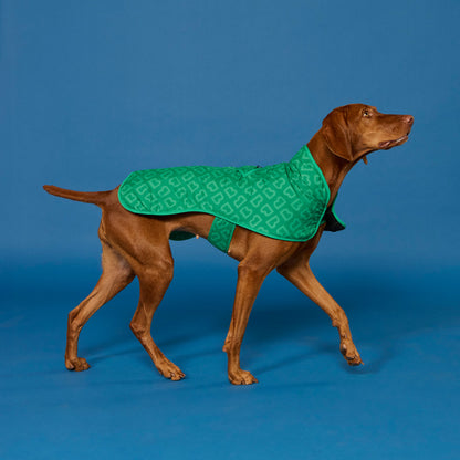 The Blunt Dog Jacket in Park Green on a dog