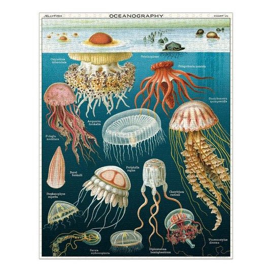 Vintage Puzzle | Jellyfish