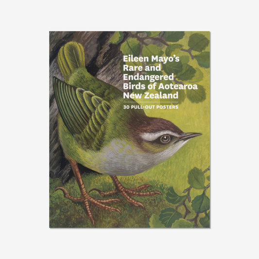 Eileen Mayo's Rare and Endangered Birds of Aotearoa