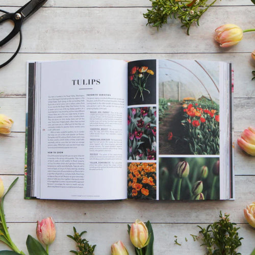 Floret Farm's Cut Flower Garden