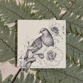 Coaster | Kereru