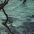 Scarf | Coromandel Moments