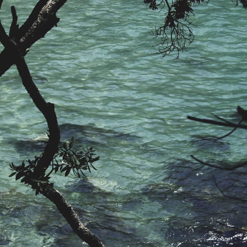 Scarf | Coromandel Moments