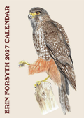 2027 Wall Calendar | Erin Forsyth