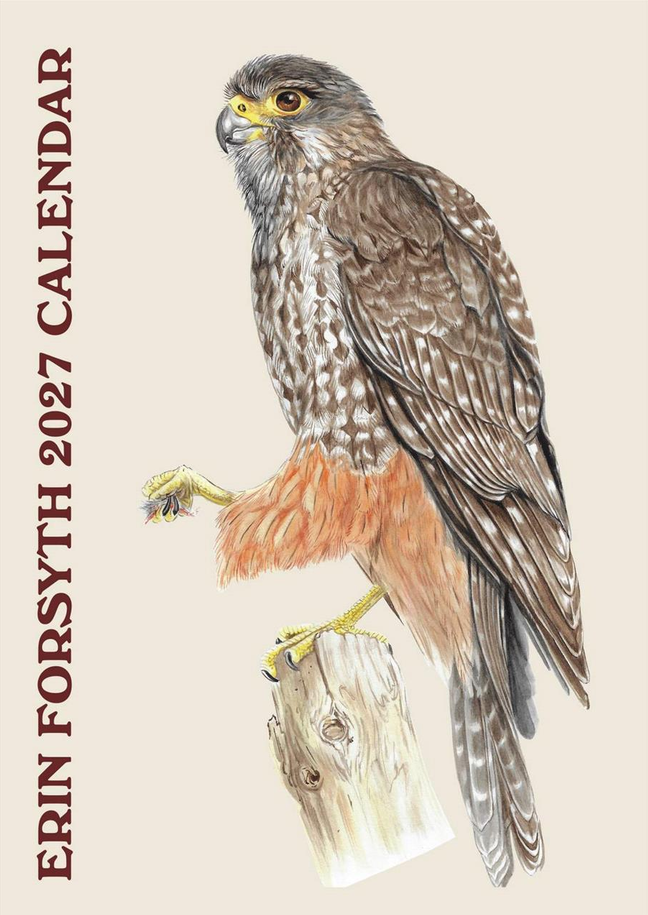 2027 Wall Calendar | Erin Forsyth