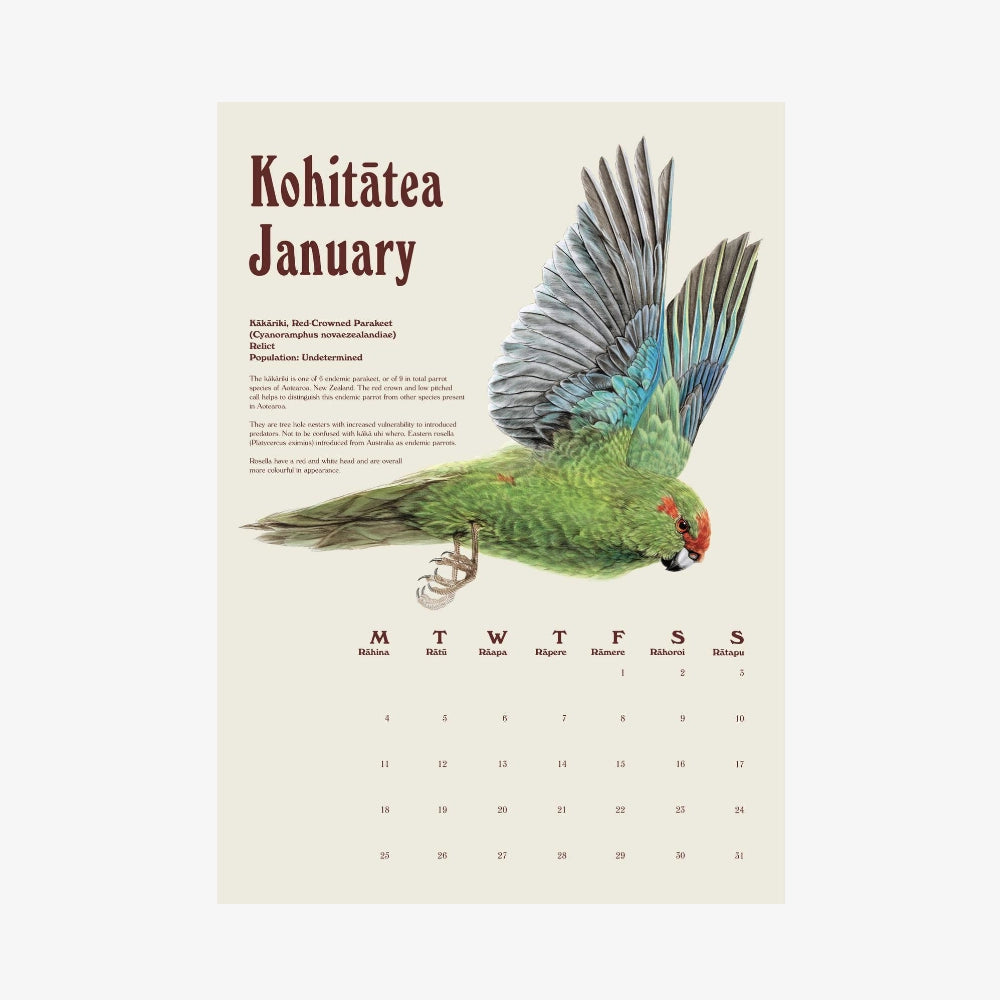 2027 Wall Calendar | Erin Forsyth
