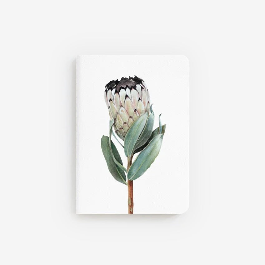 Pocket Notebook | Protea