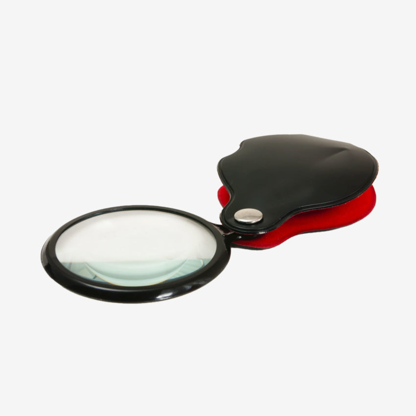 Adventurer's Magnifying Glass