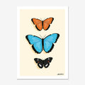 The Iko Iko Butterfly Chart Art Print