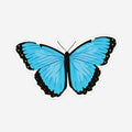 Fun Size Sticker