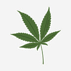 Fun Size Sticker