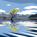 Wanaka Willow | Box Frame