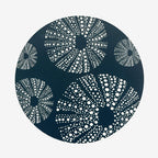 Coaster | Kina