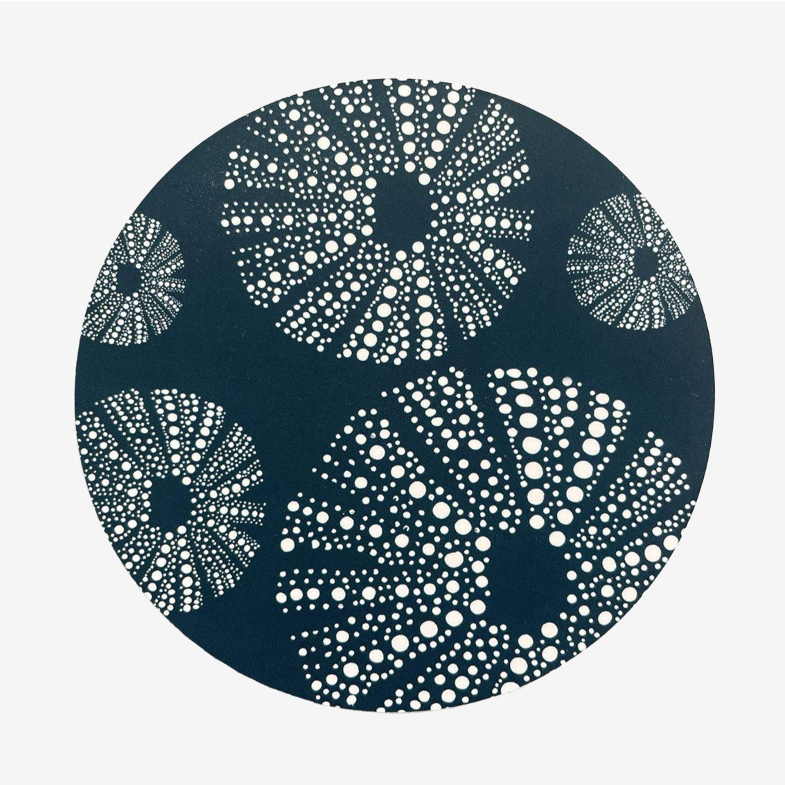Coaster | Kina