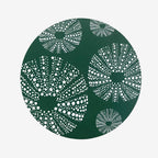 Coaster | Kina