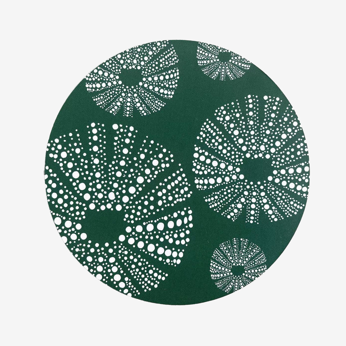 Coaster | Kina