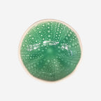 Kina Bowl | 7cm