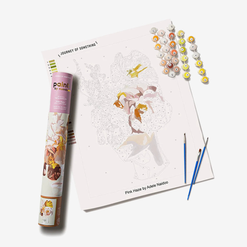 Paint by Numbers | Pink Haze