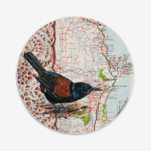 Ply Bird Wall Art Round | Saddleback Dunedin