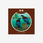Coasters Set of 6 | Birds of New Zealand