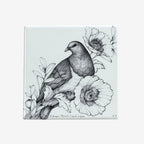 Coaster | Kereru