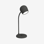 Ellie Lamp & Speaker