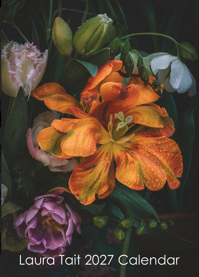 2027 Wall Calendar | Laura Tait