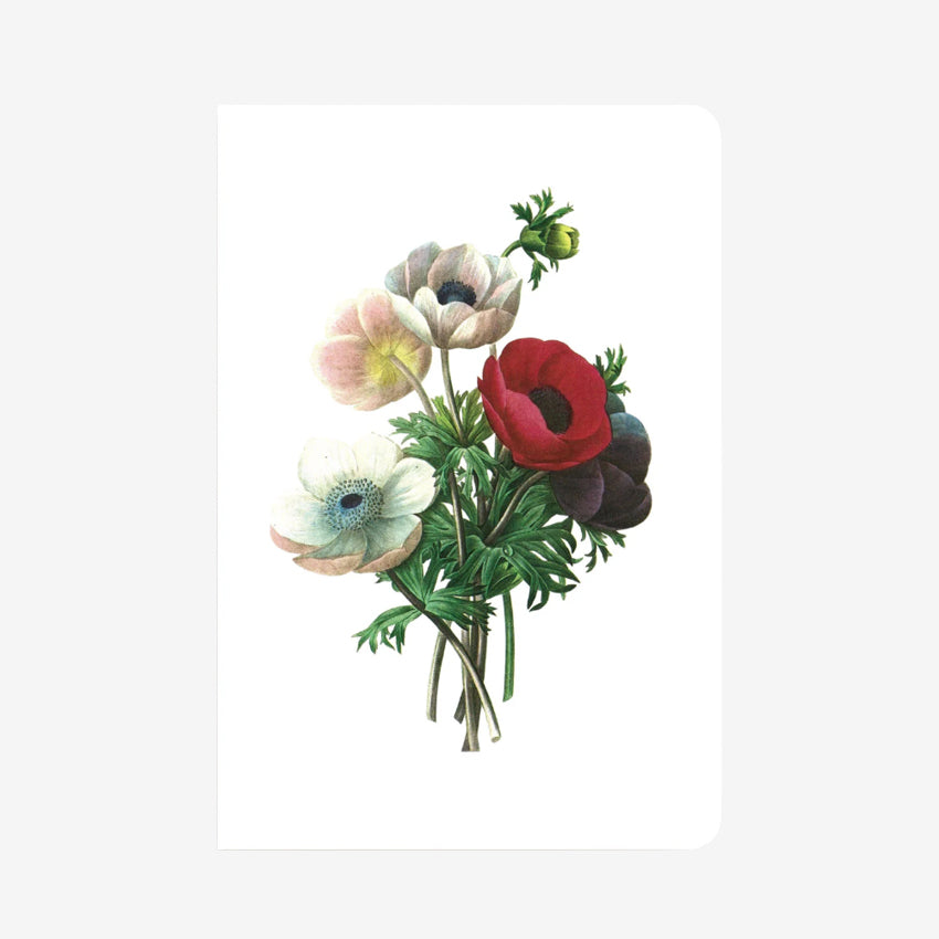 Notebook | Anemone
