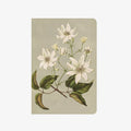 Notebook | Clematis Indivisa