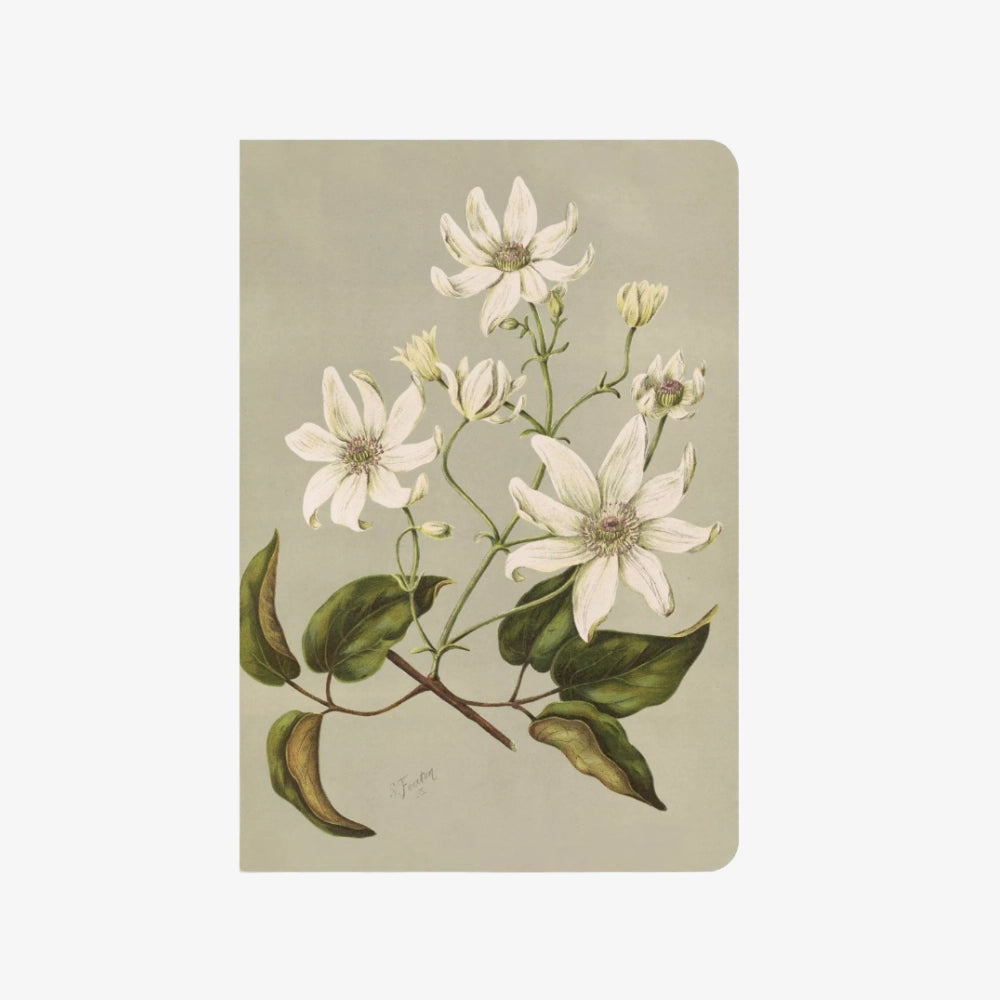 Notebook | Clematis Indivisa