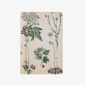 Notebook | Field Botany