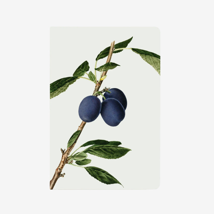 Notebook | Plums