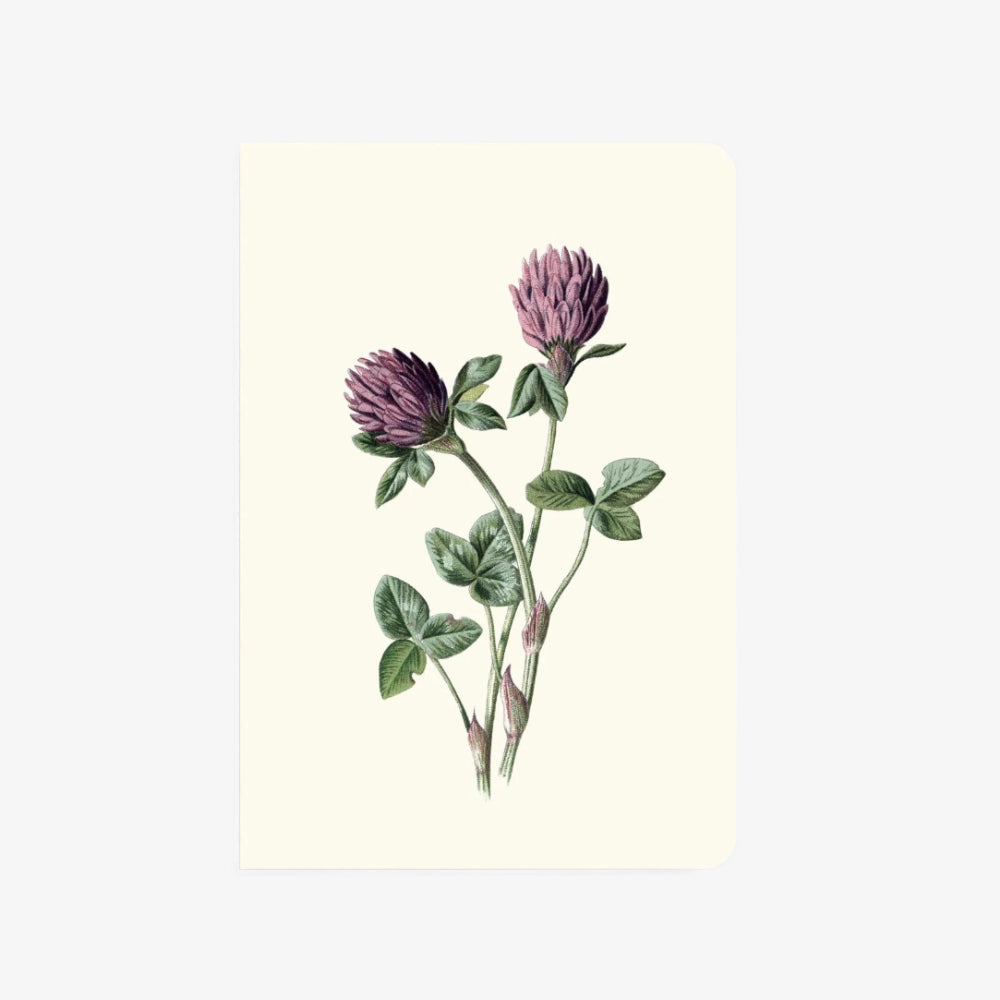 Notebook | Red Meadow Clover
